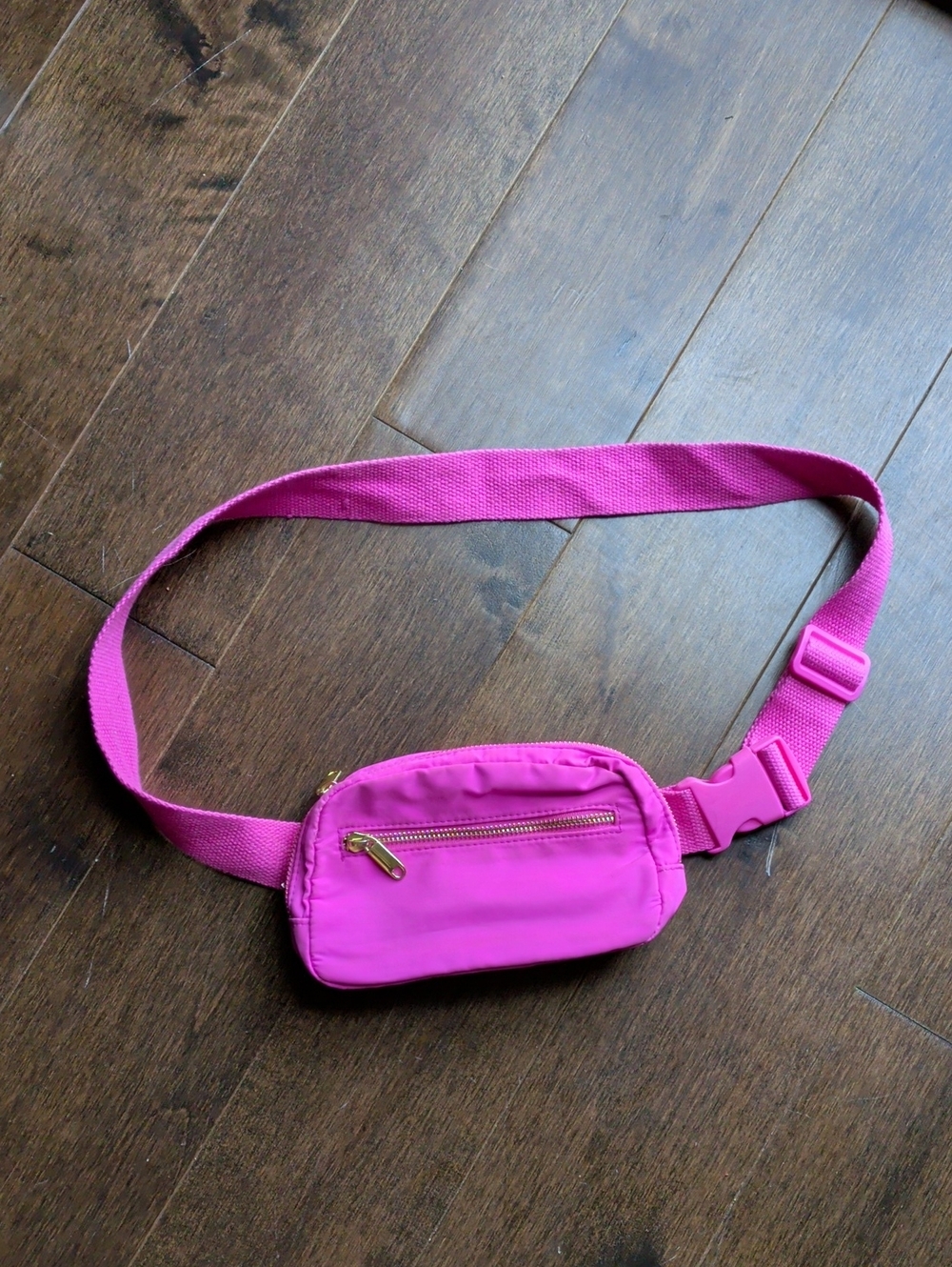 wild fable Pink Interior Crossbody Pouch with Gold Trim